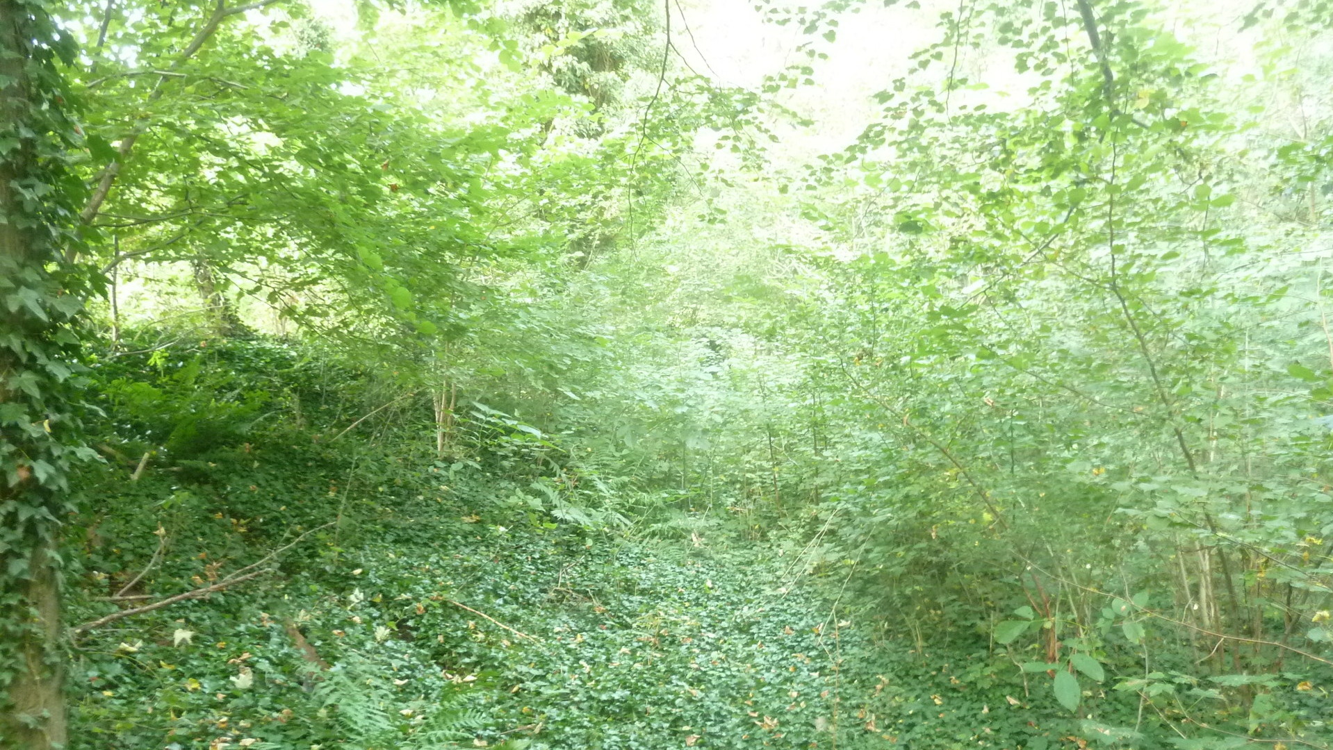 Die äußere Länge beträgt ca- 17-6 m- die Breite ca- 4-0 m- Die äußere Länge beträgt ca- 17-6 m- die Breite ca- 4-0 m-