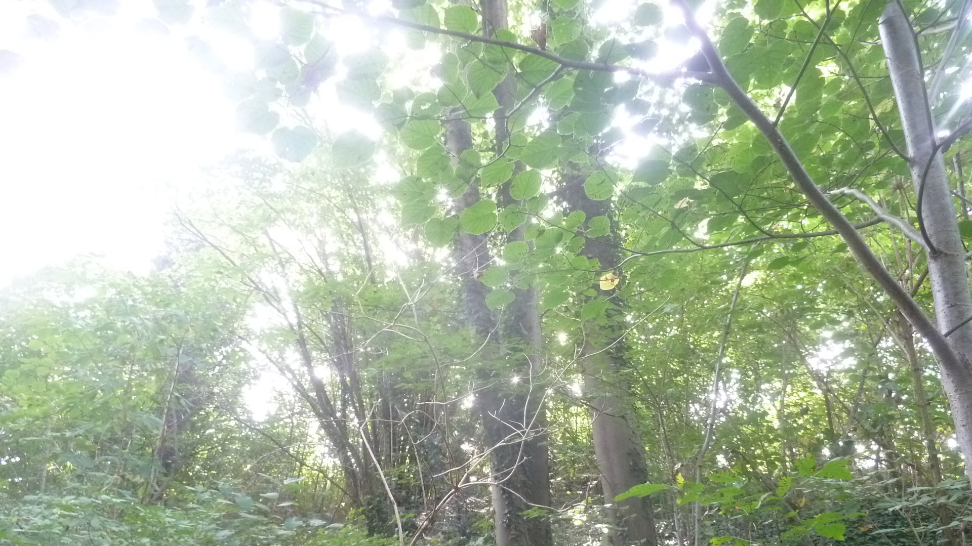 Das Baujahr ist höchstwahrscheinlich 1935- Das Baujahr ist höchstwahrscheinlich 1935-