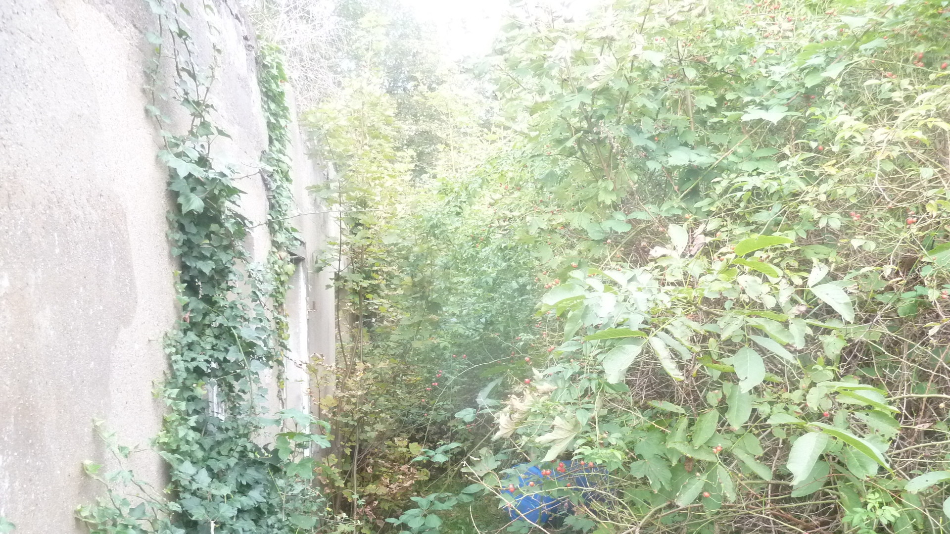 Ausgestattet ist die Immobilie mit 1 Wohnzimmer- Ausgestattet ist die Immobilie mit 1 Wohnzimmer-