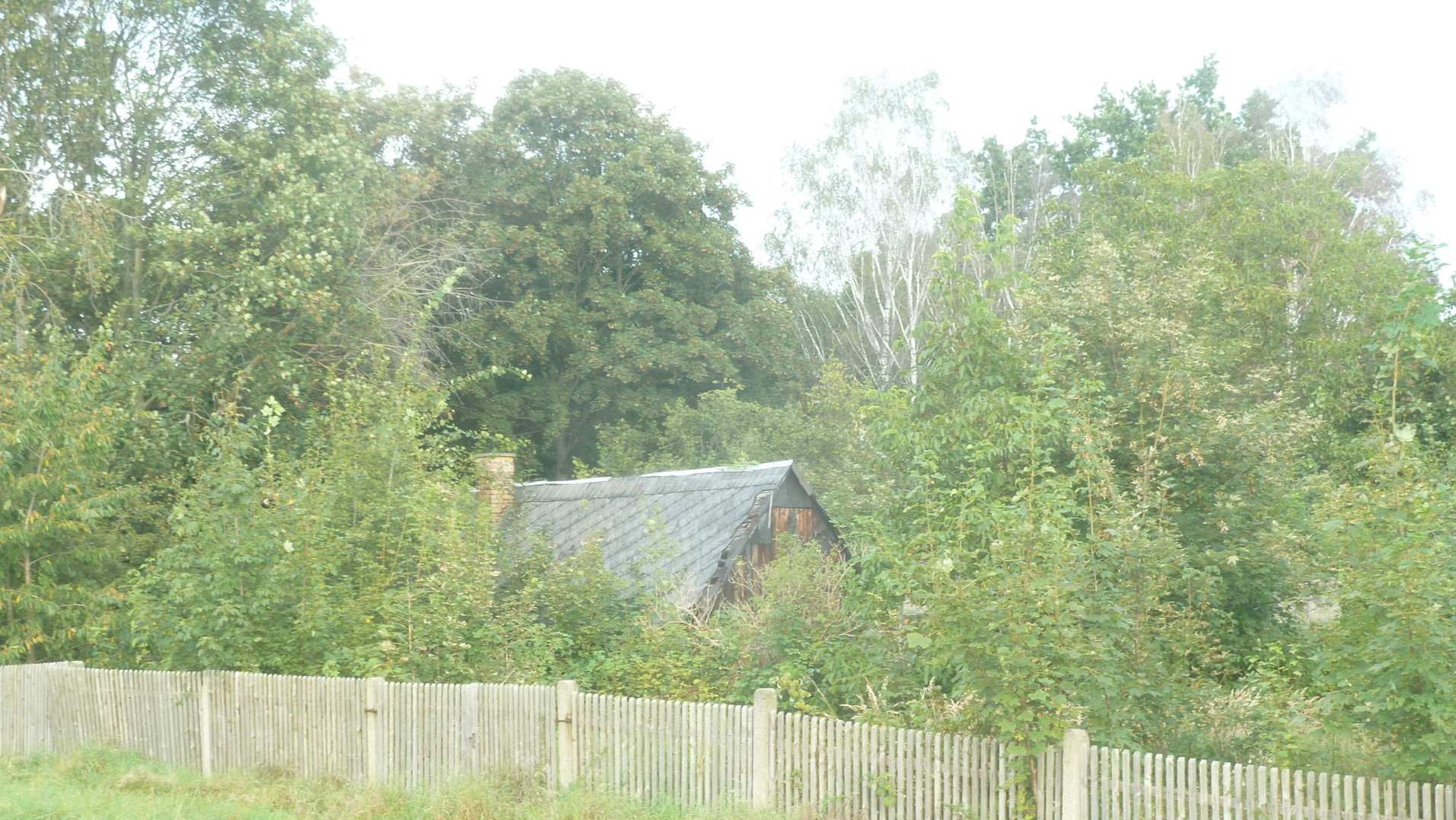 die Wasserleitung führt mit Anschlussmöglichkeit die Wasserleitung führt mit Anschlussmöglichkeit