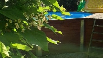 21_nachhause-immobilien_ef311c48-8053-4cf3-b1d7-48c547f7c12d_bild Reserviert ... Ein moderner Wohntraum mit Swimmingpool, Ausbaureserve und großem Garten