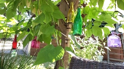 48_nachhause-immobilien_b6aa00e4-5daa-43bb-8619-4ad45e397521_bild Reserviert ... Ein moderner Wohntraum mit Swimmingpool, Ausbaureserve und großem Garten