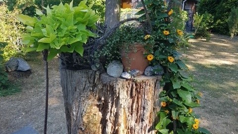 50_nachhause-immobilien_f01083ca-0ef3-4b3c-9eed-9879e868b468_bild Reserviert ... Ein moderner Wohntraum mit Swimmingpool, Ausbaureserve und großem Garten