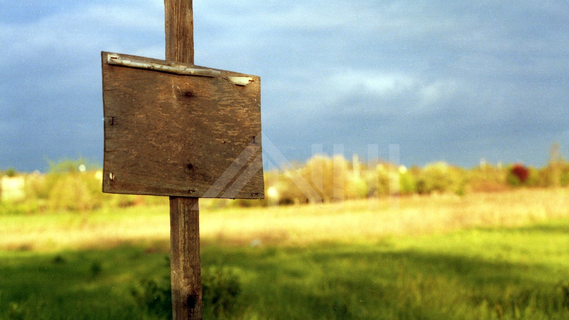 01_nachhause-immobilien_662ef49e-7826-45b8-9958-d7a11391084a_titelbild Wiese soweit das Auge reicht ... Ackerland im Herzen Sachsens