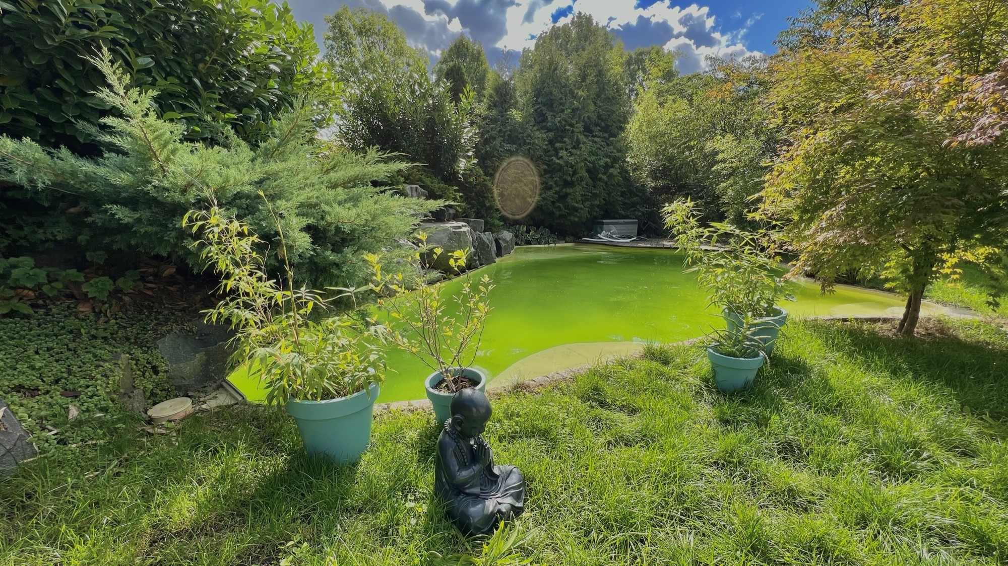 09_nachhause-immobilien__43757_bild Kaufen, Einziehen, Wohnen ... Modernes Haus mit Einliegerwohnung, Sauna und Swimmingpool