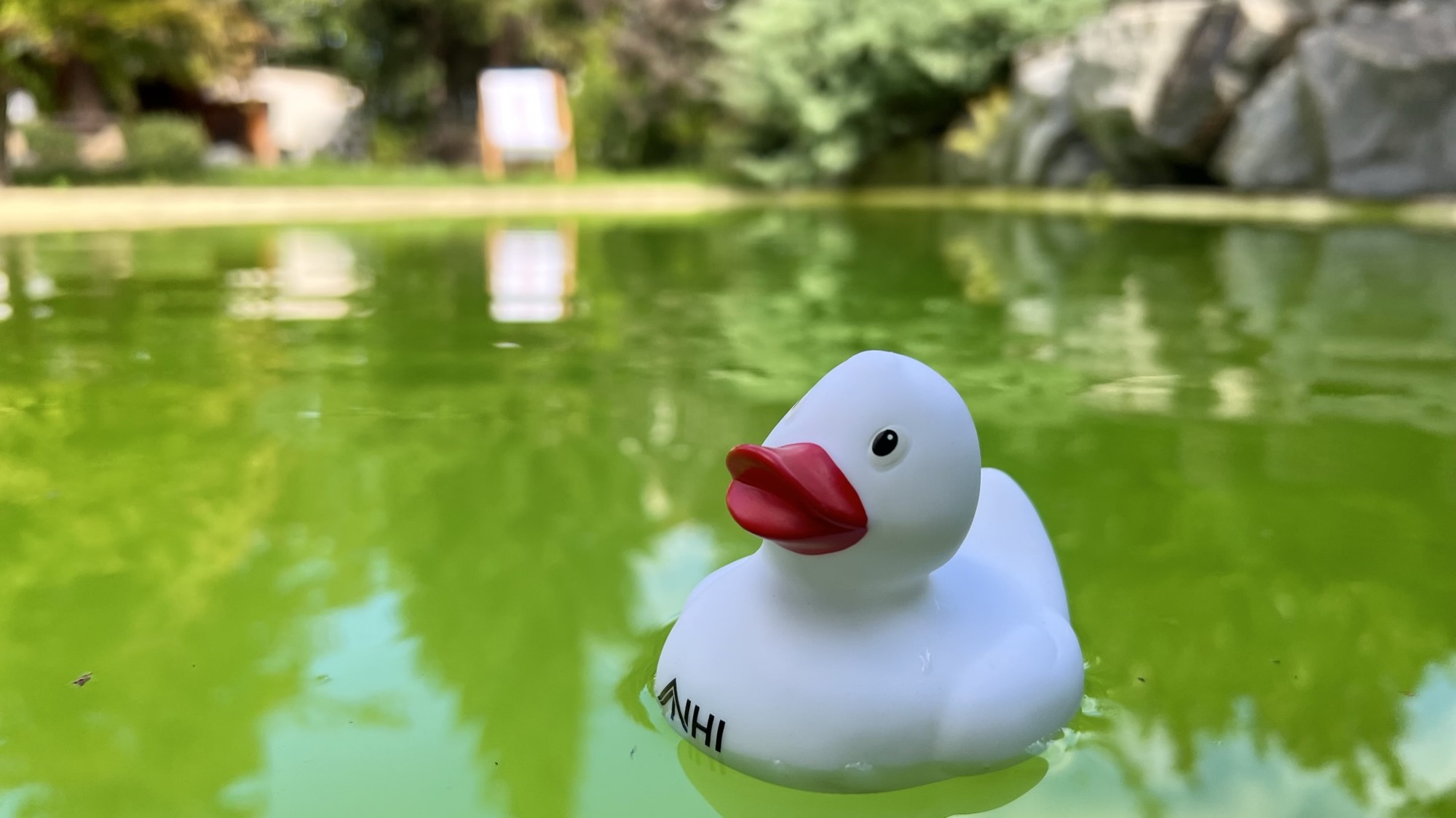 11_nachhause-immobilien__43761_bild Kaufen, Einziehen, Wohnen ... Modernes Haus mit Einliegerwohnung, Sauna und Swimmingpool