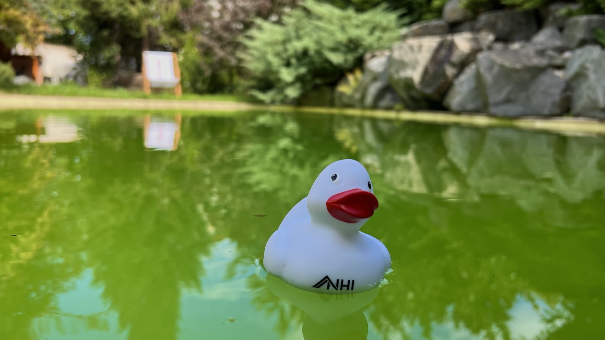 19_nachhause-immobilien__43779_bild Kaufen, Einziehen, Wohnen ... Modernes Haus mit Einliegerwohnung, Sauna und Swimmingpool