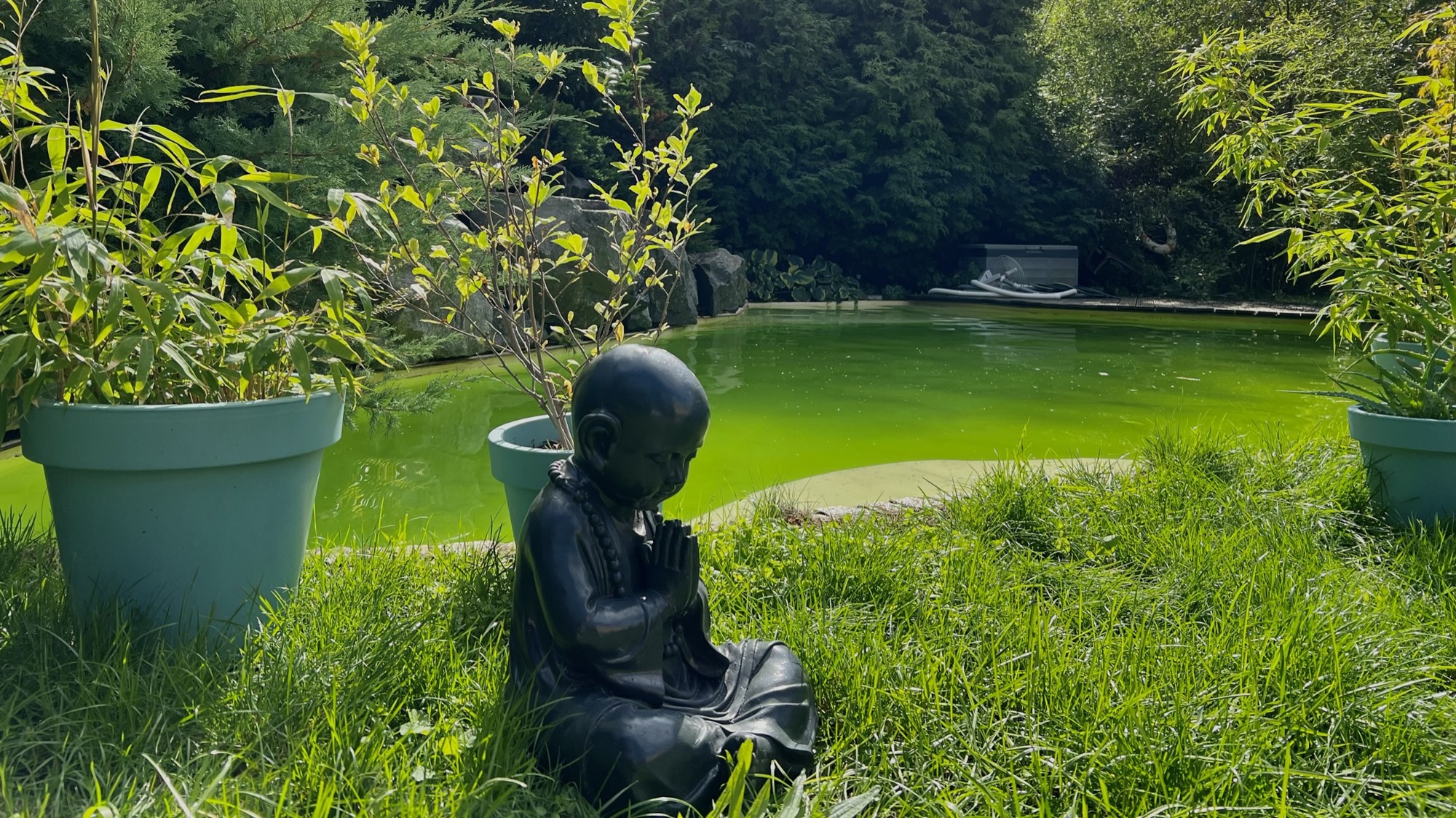 26_nachhause-immobilien__43793_bild Kaufen, Einziehen, Wohnen ... Modernes Haus mit Einliegerwohnung, Sauna und Swimmingpool