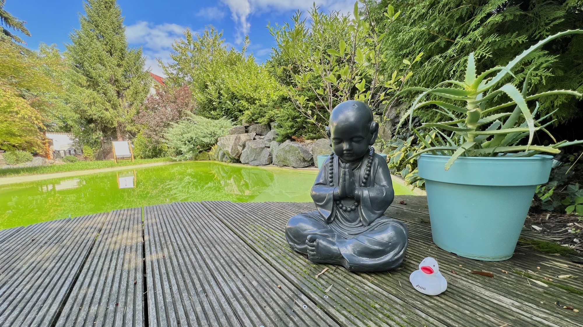 29_nachhause-immobilien__43799_bild Kaufen, Einziehen, Wohnen ... Modernes Haus mit Einliegerwohnung, Sauna und Swimmingpool