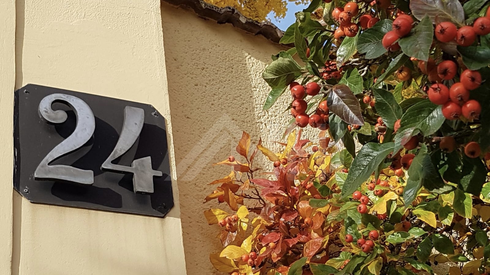 03_nachhause-immobilien_38e5f4df-87a0-4abc-afff-b406c19dbe68_bild Investitionschance in Grimma ... Historisches Wohn- und Geschäftshaus mit Potenzial der Wertsteigerung