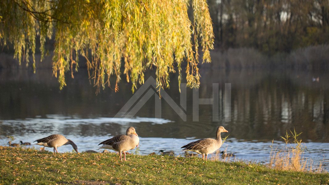 angenehm-harmonische Wohnatmosphäre. angenehm-harmonische Wohnatmosphäre.