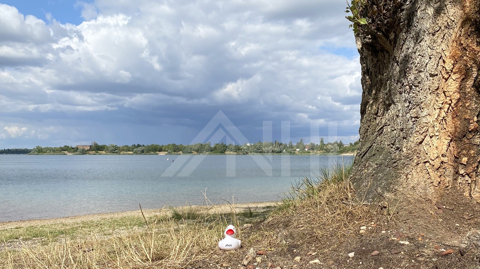 01_nachhause-immobilien_9297fd85-699b-420e-866f-2f79e03aa3c0_titelbild Rückzugsoase am See ... Hübsches Einfamilienhaus für die kleine Familie am Ufer des Kulkwitzer Sees