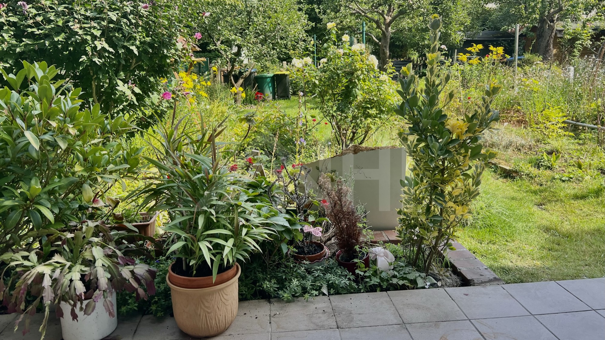 steht ein Einfamilienwohnhaus steht ein Einfamilienwohnhaus