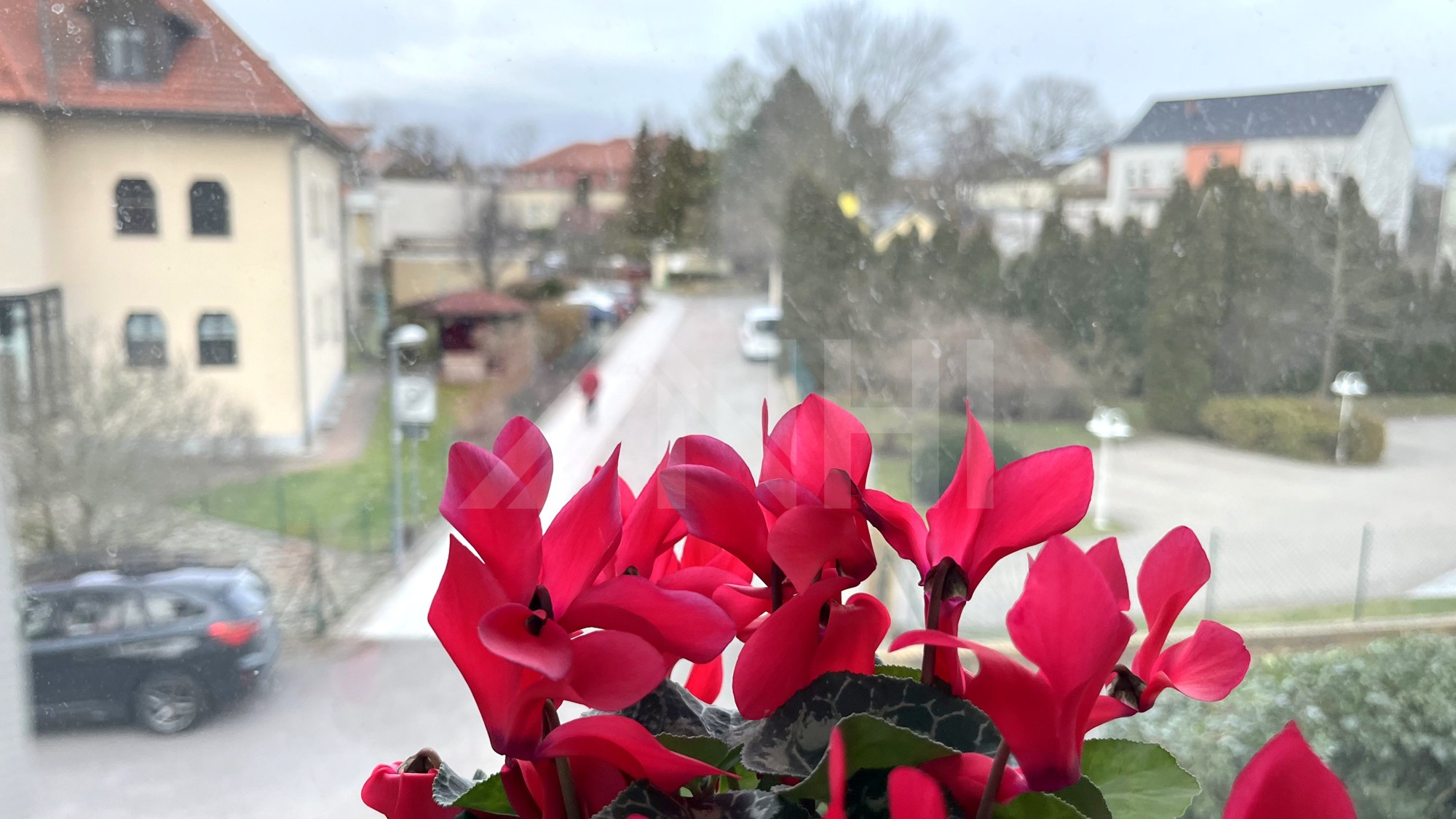 11_nachhause-immobilien_1c630738-08b2-4293-b04e-ab34f41fcb0d_bild Charmant, kultig und vielfältig ... Mehrfamilienwohnhaus an der Elbe im Osten des Bundeslandes Sachsen-Anhalt