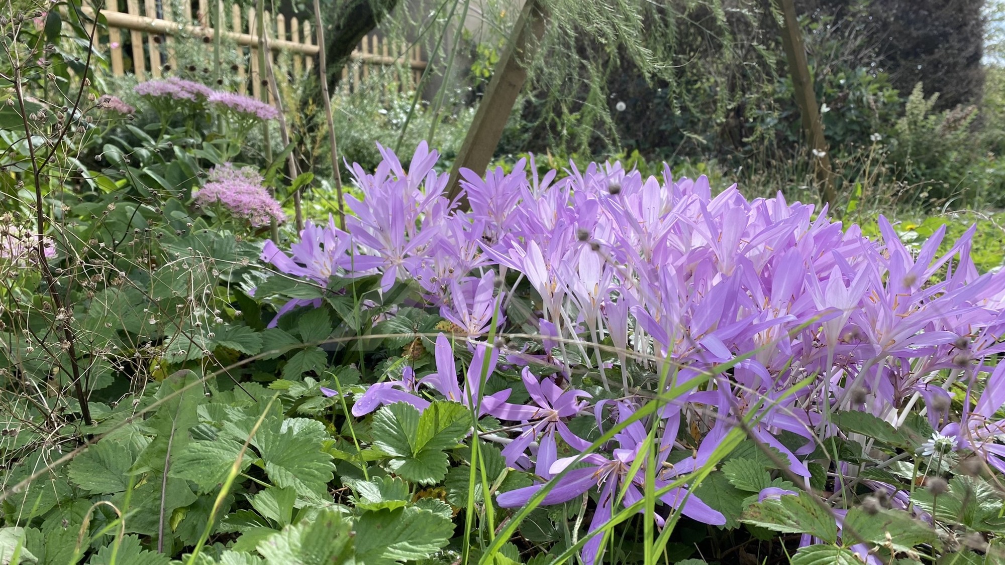 renovierungsbedürftiges renovierungsbedürftiges