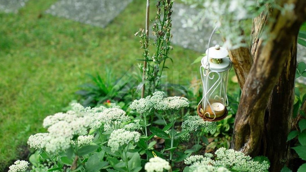 Viel Grün säumt Viel Grün säumt