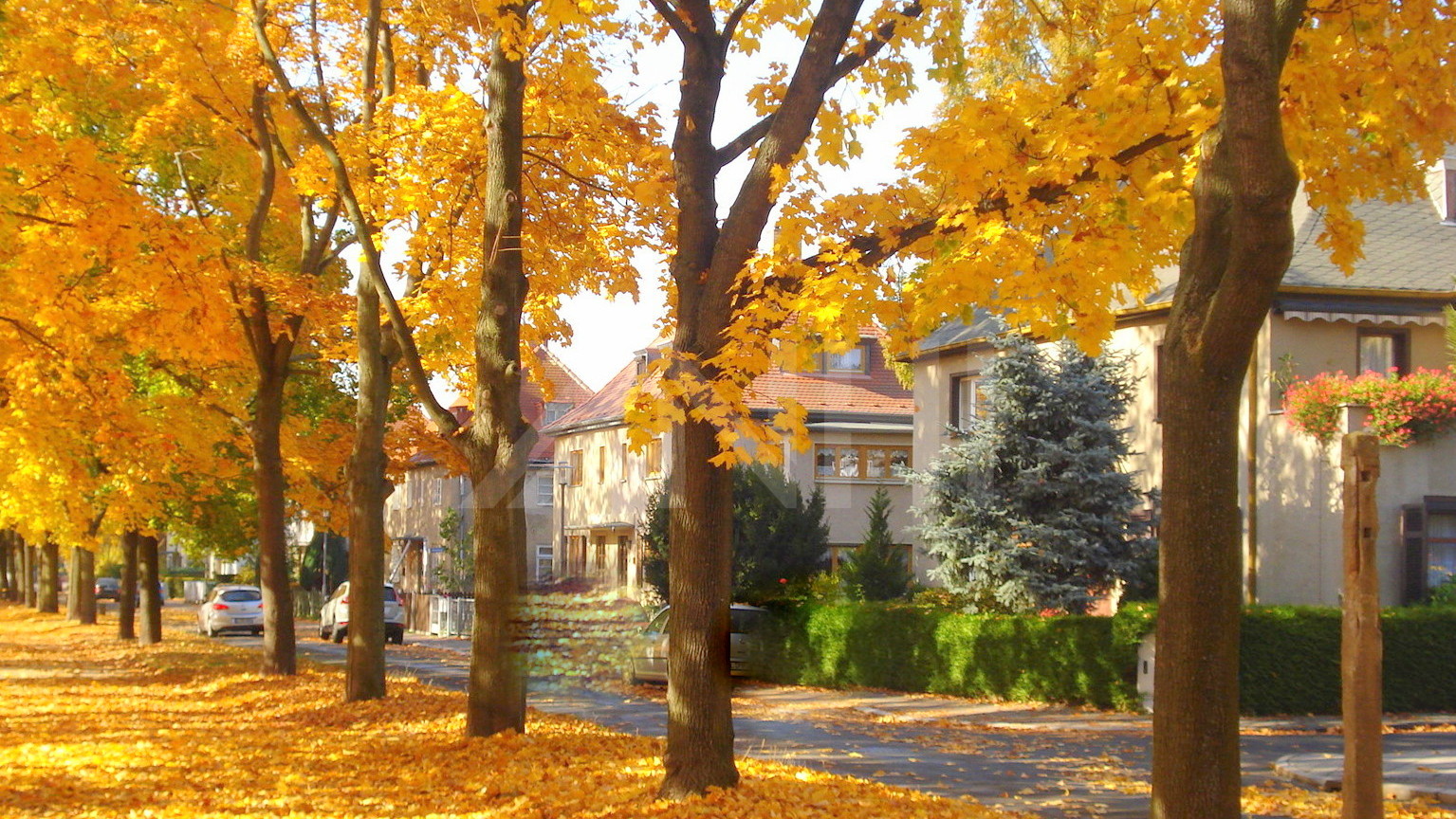 Die Straße An der Märchenwiese Die Straße An der Märchenwiese